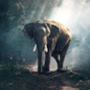 Meet your Posher, Bradley